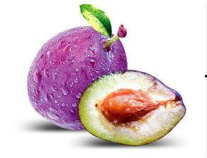 娱乐吃瓜少女西梅拿铁,娱乐吃瓜少女的趣味生活揭秘